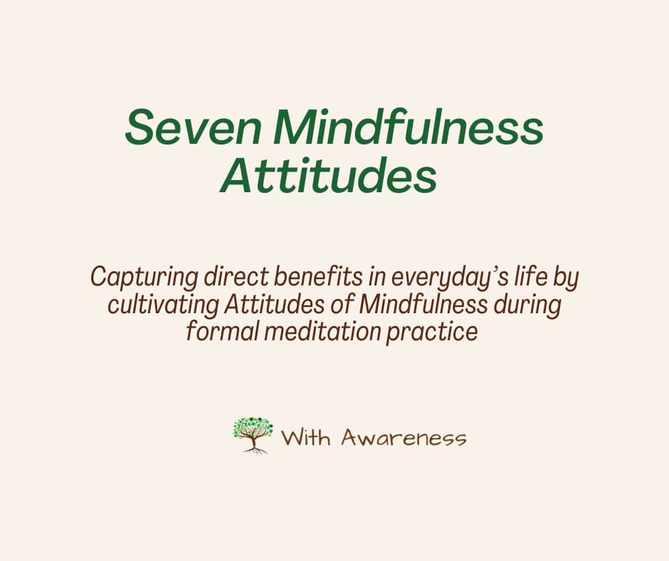 A set of 7 online mindfulness sessions