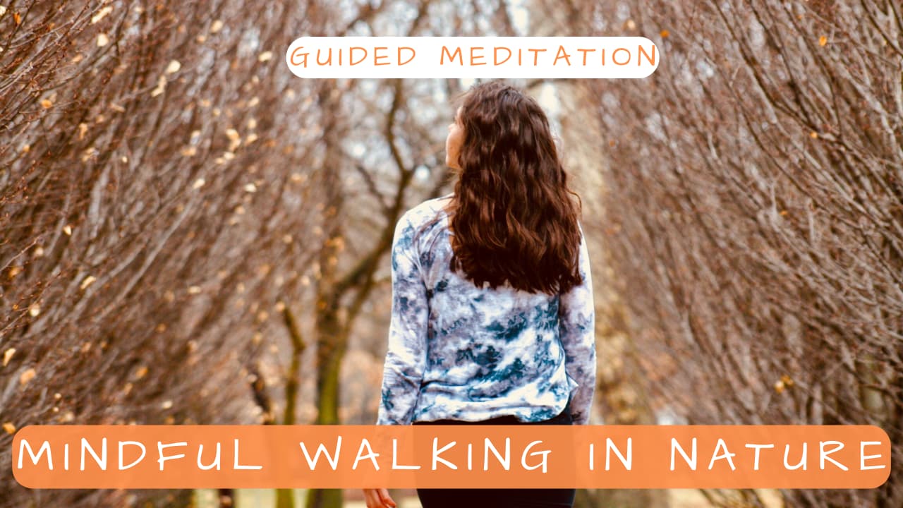 Mindful Walking in Nature – Guided Meditation